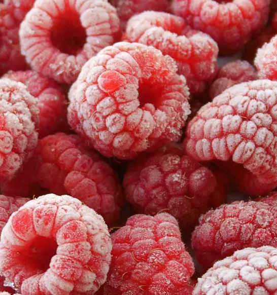 Raspberries Iqf Freezing