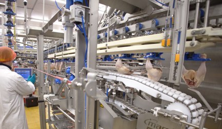 Atingindo o topo do processamento de pernas anatômicas