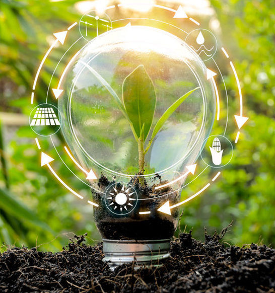 JBT_sustainability_stockphoto_123rf-e1633017697734