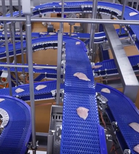 Systemflex Endurabelt2