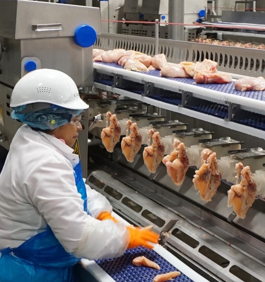 AMF I Deboning Workers