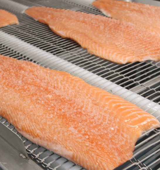 Salmon Salting