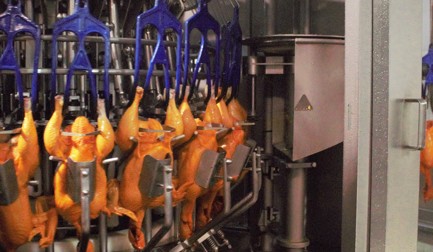 Avícola El Carmen opta por processamento automatizado