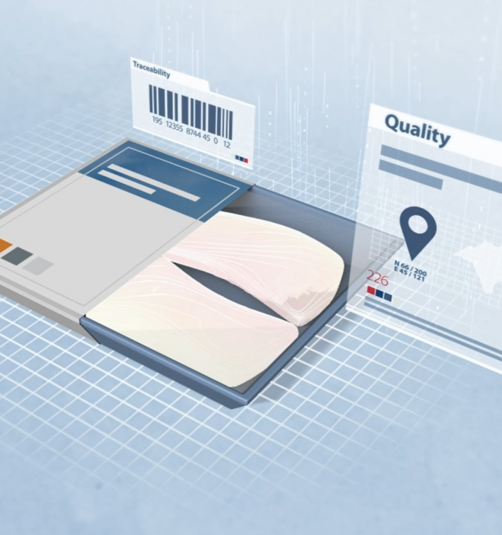 Axin Software Ai Visual 3