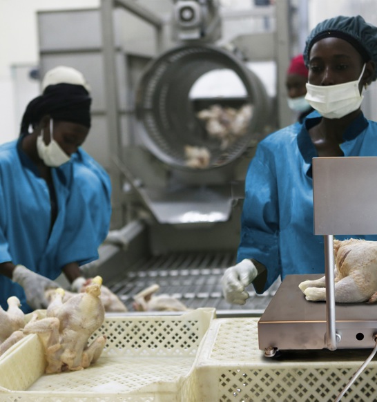 Weighing Scale Africa Blue