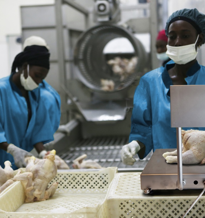 Weighing Scale Africa Blue