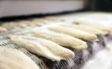 Whitefish Impingement Freezing Belt