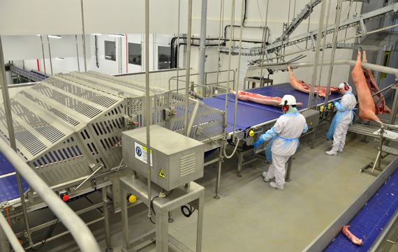 Carcass Cutter For Pork Primal Cutting System Processing Plant Equipment