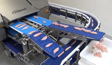 Ligne de découpe en cubes