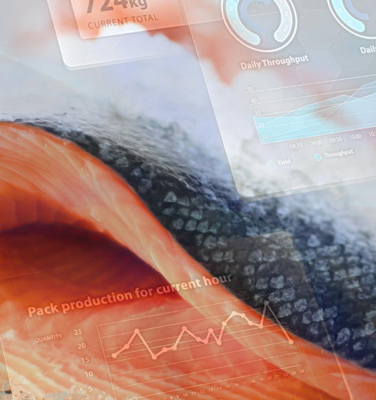 Salmon Smoking Solution Digital Control