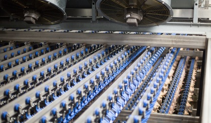 9 „coole“ Gründe, sich für die Geflügelkühlung von Marel zu entscheiden