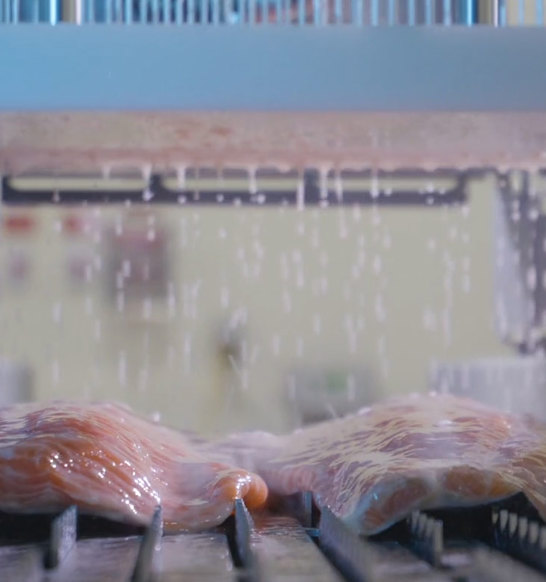 Injection Systems Salmon