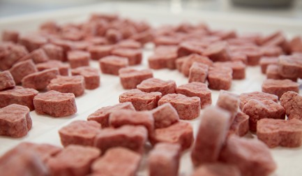 Wenger and Extru-Tech unite under JBT Marel at Petfood Forum 2026