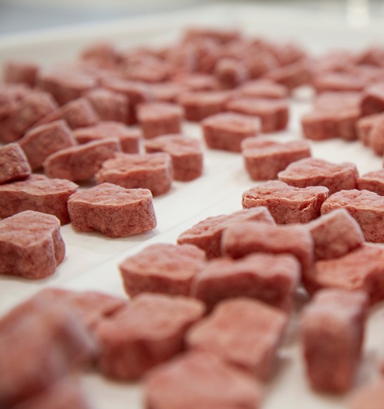 Dog food croquettes production on a Marel RevoPortioner