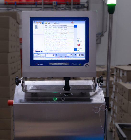 Axin Packing Labeling LKD Square