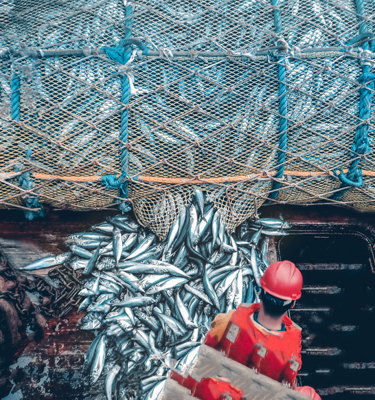 Shutterstock 602951120