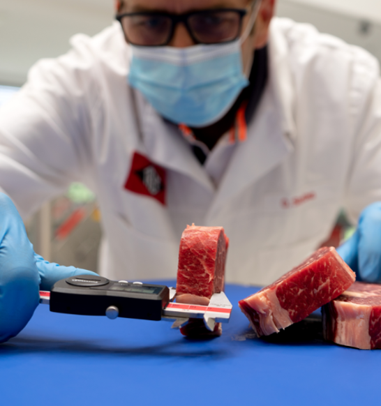 Marel Portioning Slicing And Dicing Equipment