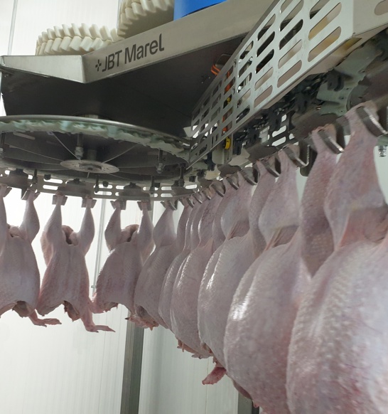 Smartweigher Turkey