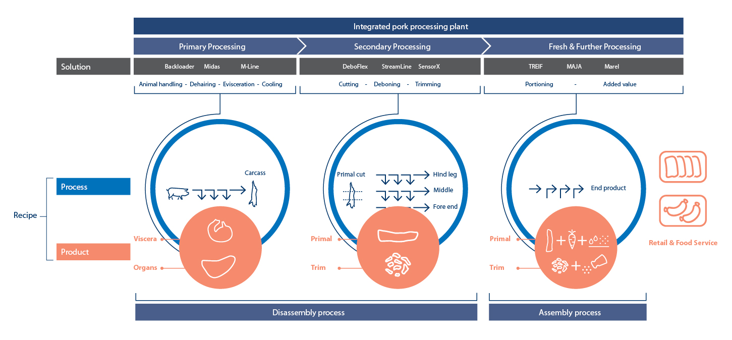 Infographic Standardized Solutions Pork Processing