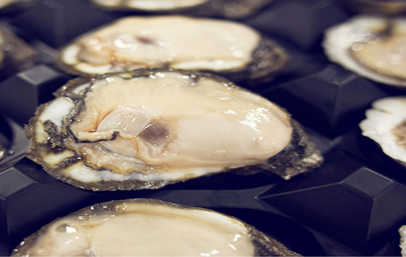 r-and-a-oysters_U