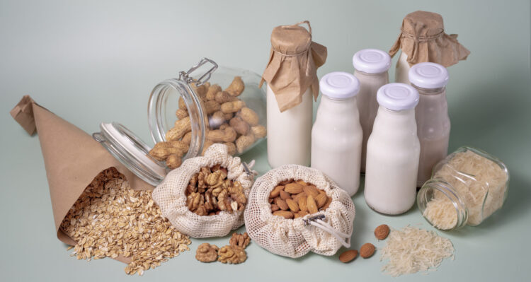 a variety of lactose-free milk from nuts and grains in glass bottles. vegan concept with hazelnut, oat, coconut, almond, walnut