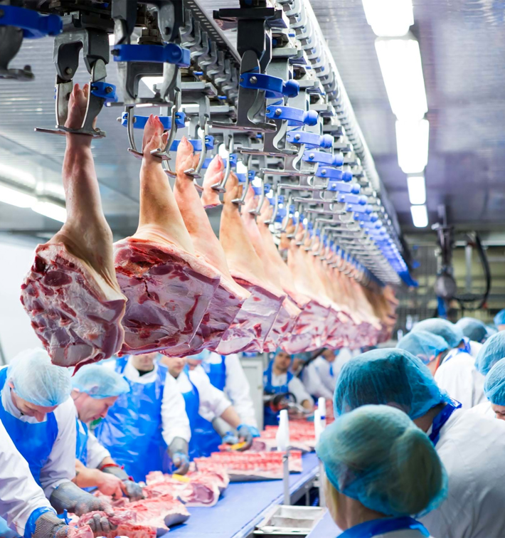 Marel Flexible Food Production