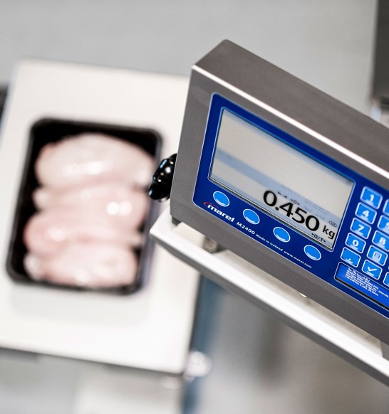 Scale For Food Industry Model M2400