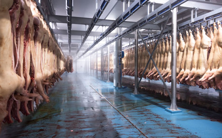 Maporal Pork Factory Chilling Department