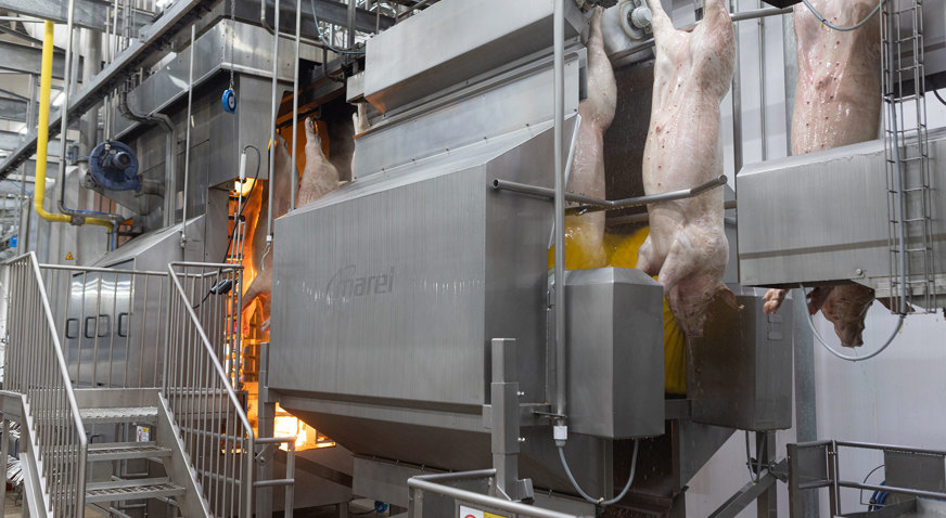 Frimesa Primary Processing 3