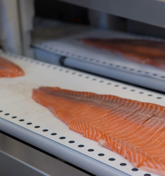 Salmon Portions