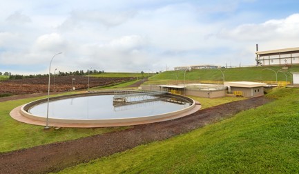 Cuidando do meio ambiente