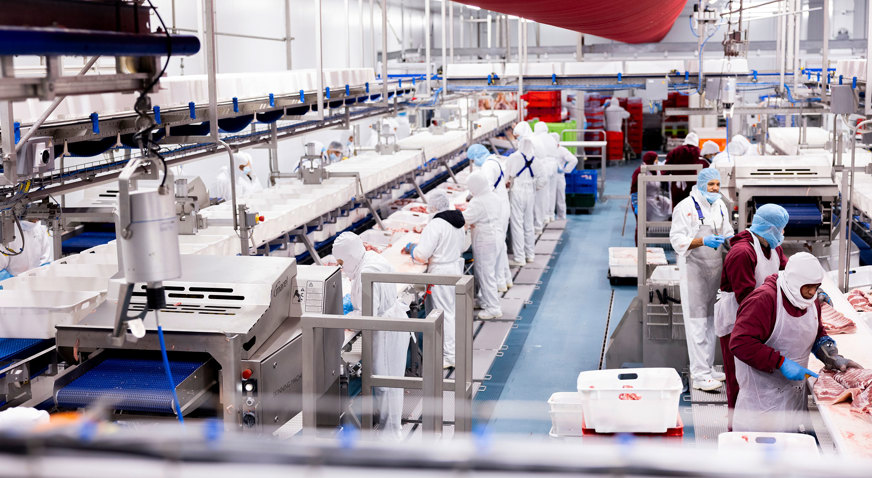 Maporal Pork Factory Trimming Lines