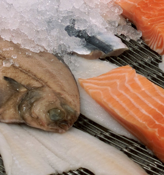 Freezing Plaice Salmon Skadda