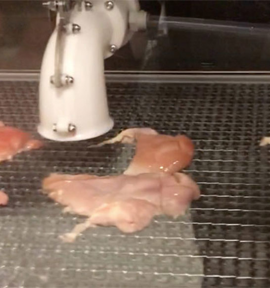 DSI-Robotic-Harvester