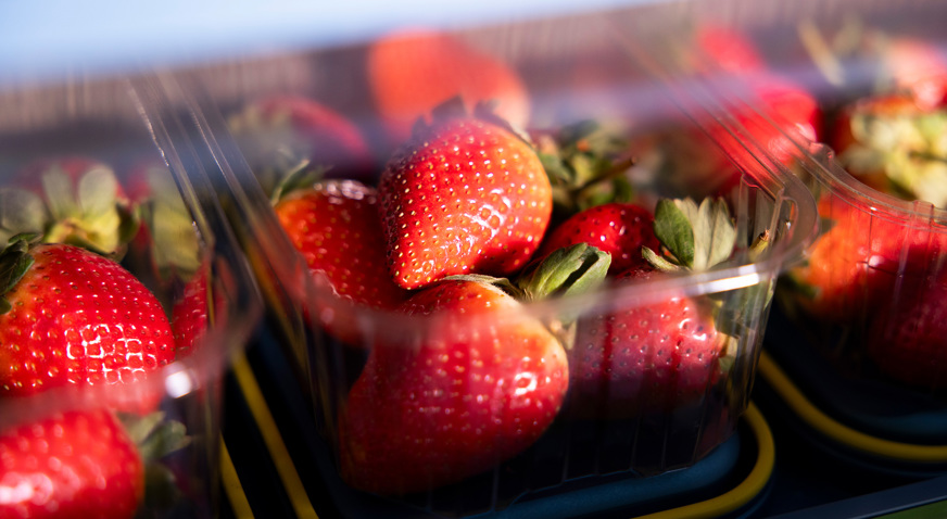 Proseal Xt2 Tray Sealing Strawberries