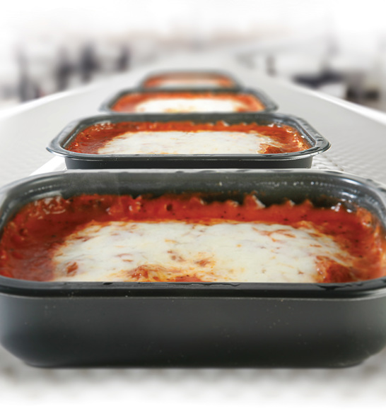 Frozen Ready Meals General