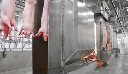 Polish Dryer