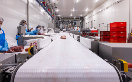 Zakrzewscy Beef Factory Conveyor