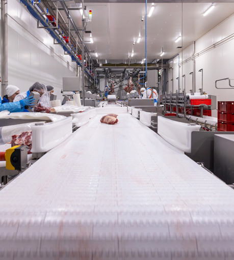 Zakrzewscy Beef Factory Conveyor