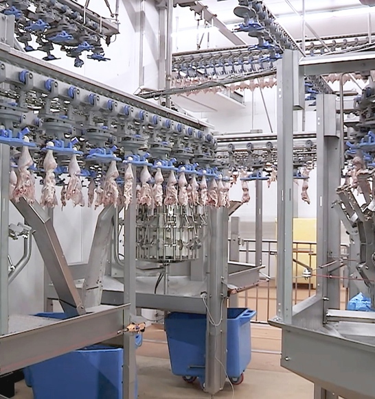 Thigh Fillet System Overview3