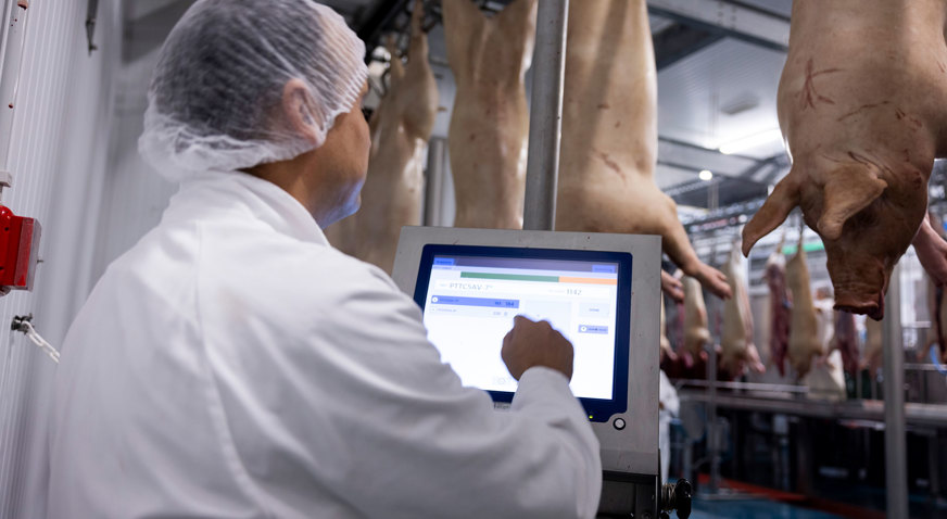 Maporal Pork Factory Pork Processing
