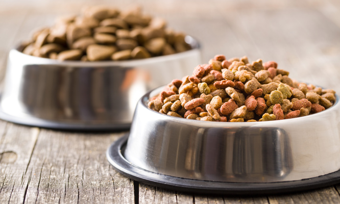 Dry pet food