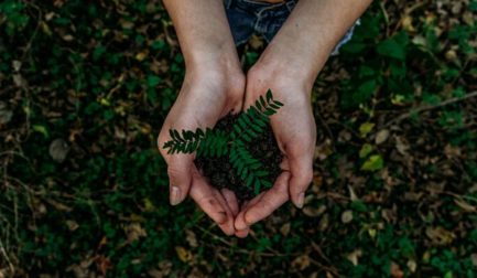 JBT Marel & sustainability: Top 4 solutions for progressive processors
