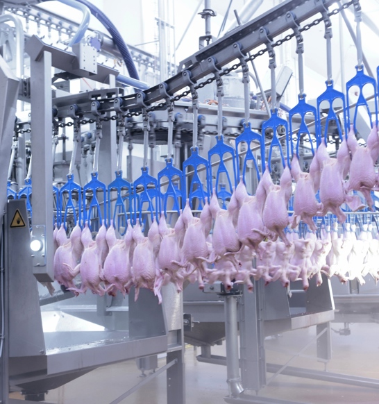 VC I Logo Cropped2400