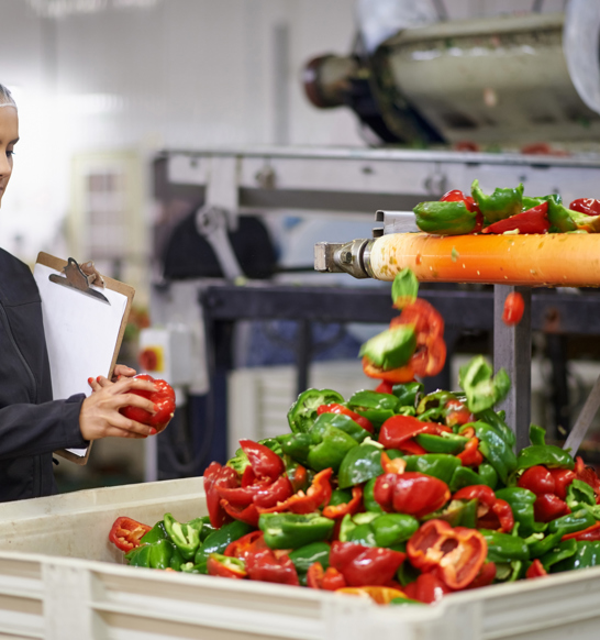 Frozen F&V Preparation