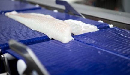 Whitefish processing challenge or opportunity?