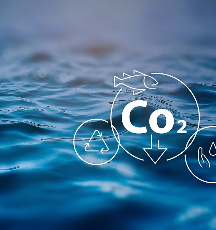 Fish Sustainability Ocean Co2