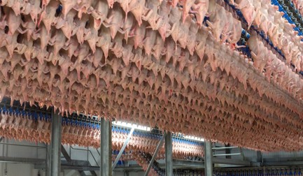 Por que a maturação é necessária?