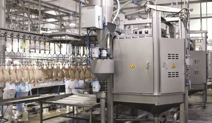 O Nuova acertou em cheio