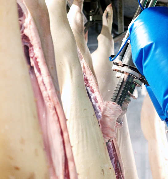 M-Line Leaf Lard Remover removing leaf lard